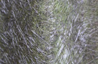 Golden Hill fibreglass roof work